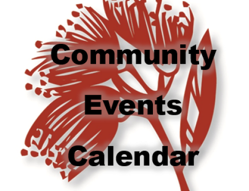 February 2024 Community News and Events
